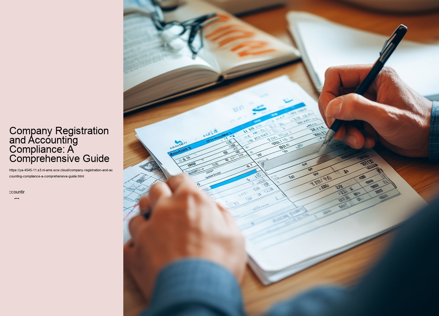 Company Registration and Accounting Compliance: A Comprehensive Guide